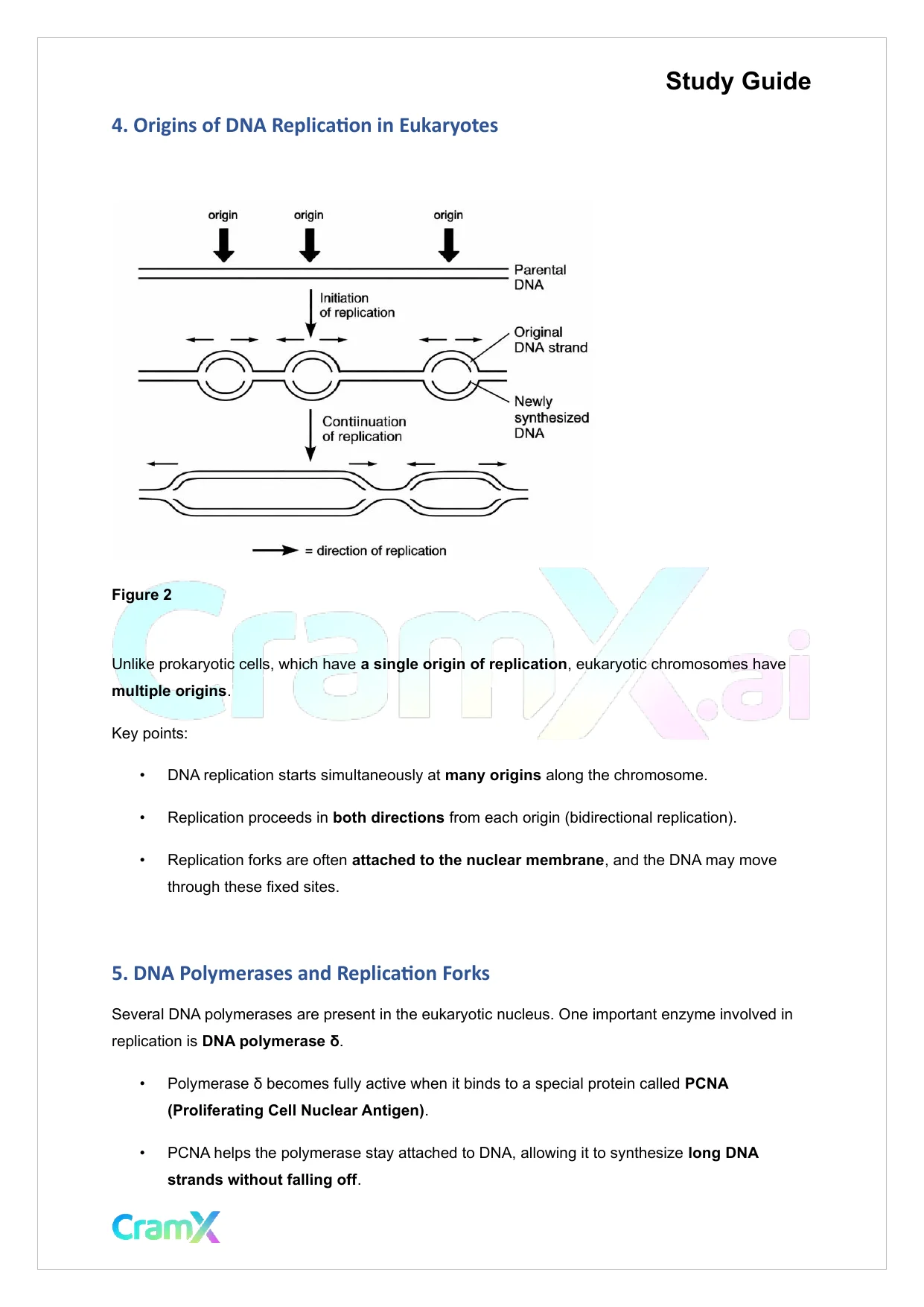 Biochemistry-II - Eukaryotic Genes - Page 9 preview image