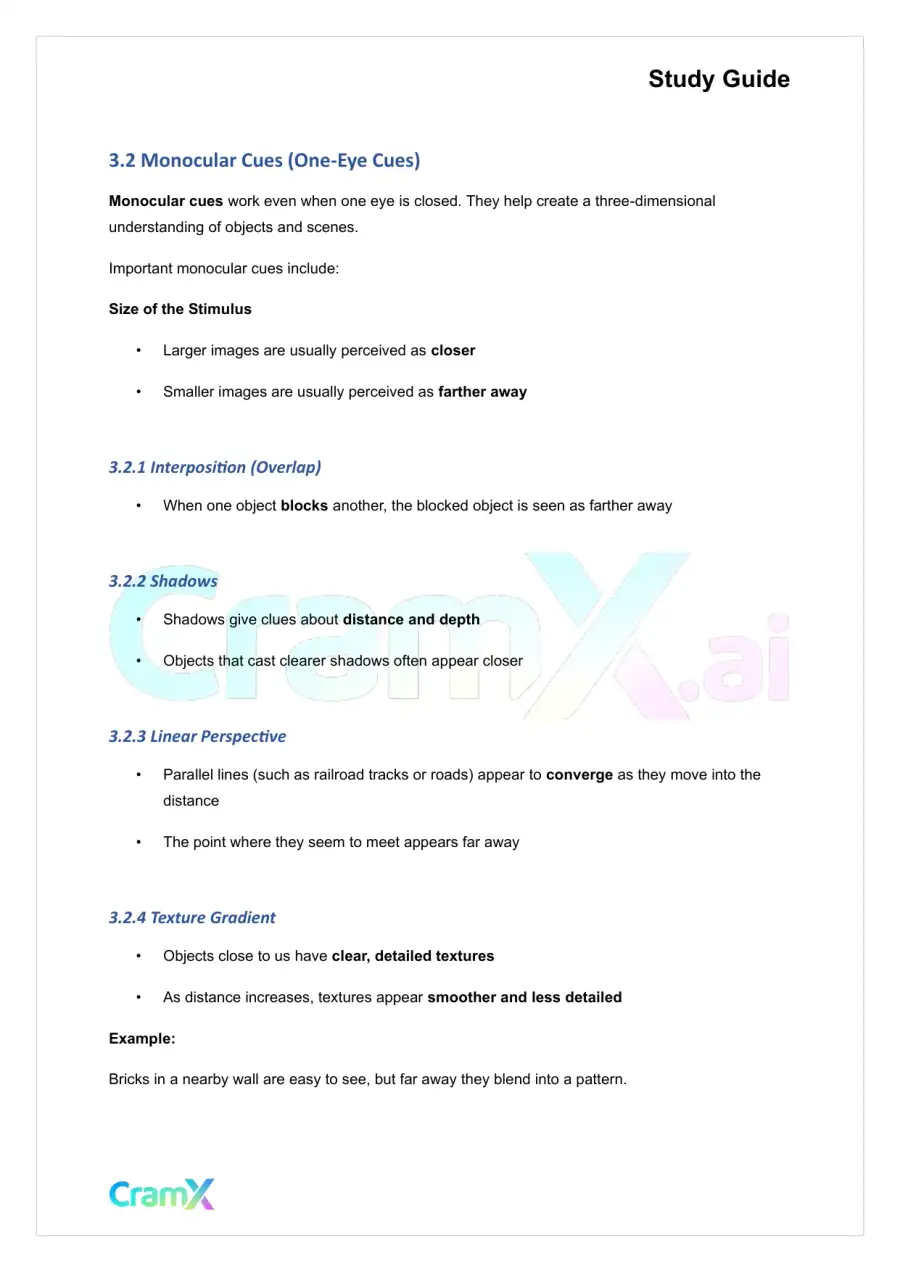 Psychology - Psychology Perception, page 5