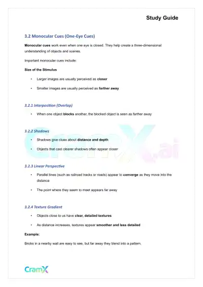 Psychology - Psychology Perception - Page 5 preview image