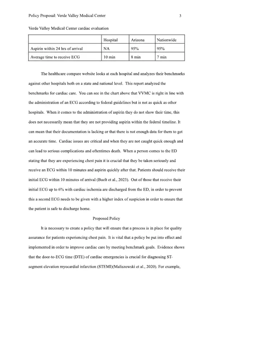 Policy Proposal Verde Valley Medical Center, page 3