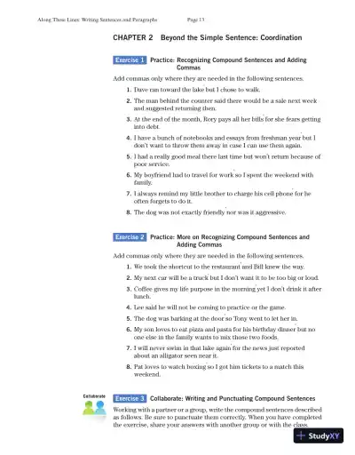 Solution Manual for Along These Lines: Writing Sentences and Paragraphs, 7th Edition - Page 15 preview image