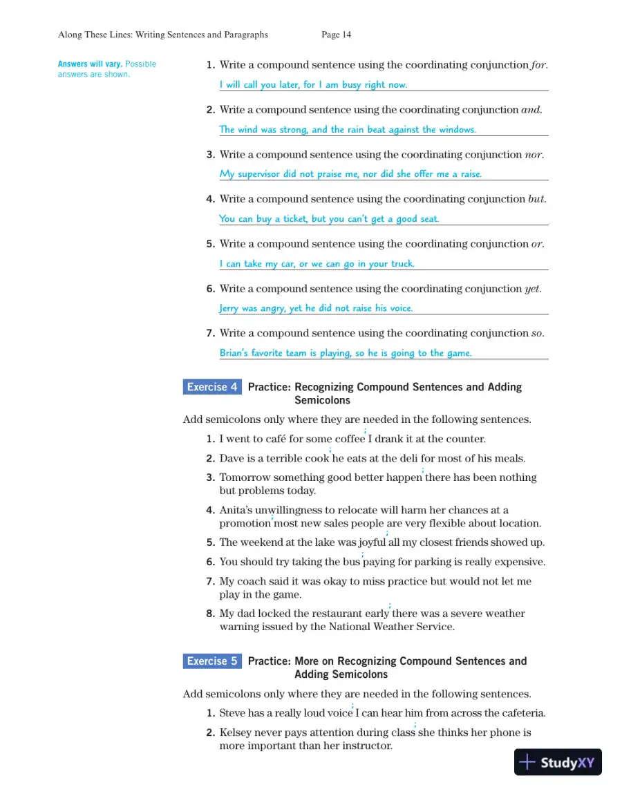 Solution Manual for Along These Lines: Writing Sentences and Paragraphs, 7th Edition, page 16