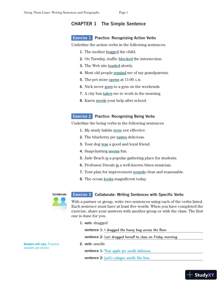 Solution Manual for Along These Lines: Writing Sentences and Paragraphs, 7th Edition, page 3
