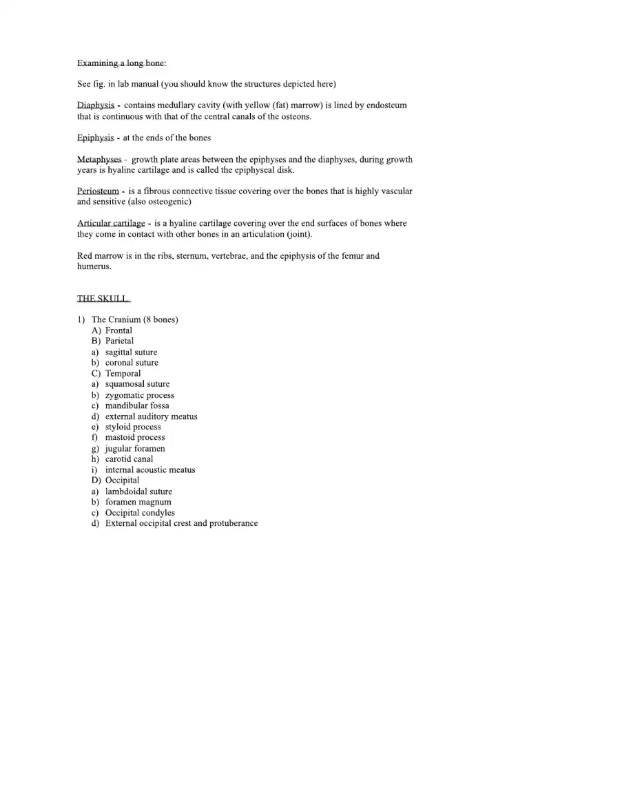 A and P 1 Lab Bone Module 1, page 2