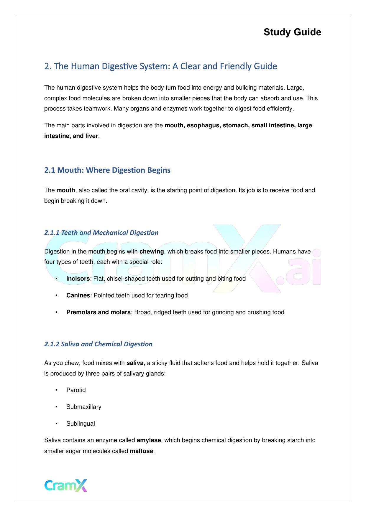 Biology - Nutrition and Digestion - Page 2 preview image