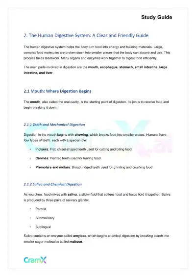 Biology - Nutrition and Digestion - Page 2 preview image