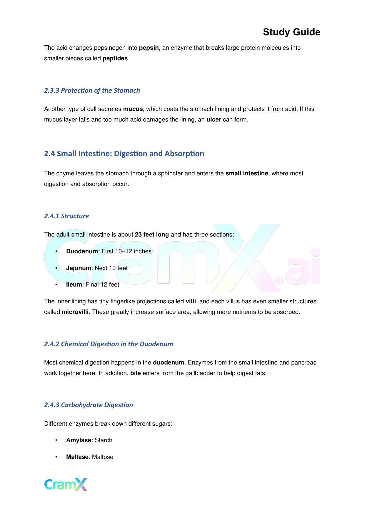 Biology - Nutrition and Digestion - Page 4 preview image