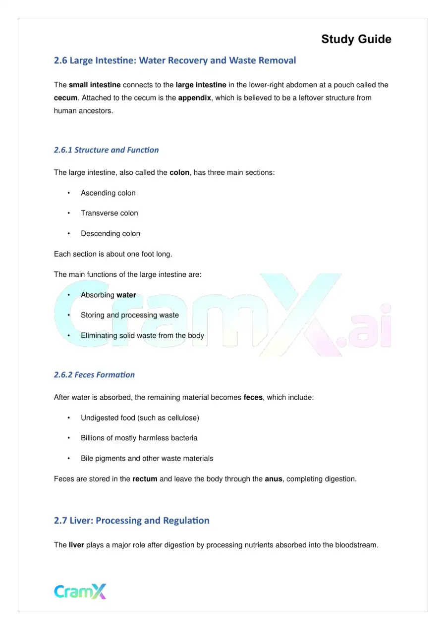 Biology - Nutrition and Digestion, page 6