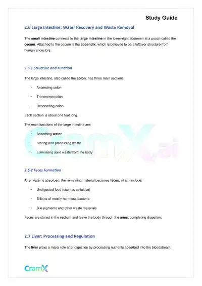 Biology - Nutrition and Digestion - Page 6 preview image