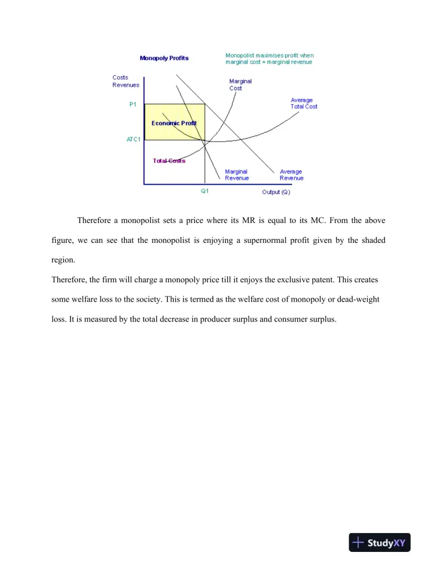 Monopoly, Price Discrimination, and International Trade: An Economic Analysis, page 3