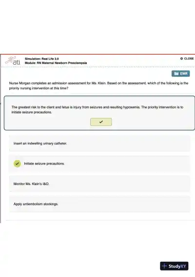 ATI RN Maternal Newborn Preeclampsia Simulation Real Life 3.0 With Answers (11 Solved Questions) - Page 4 preview image