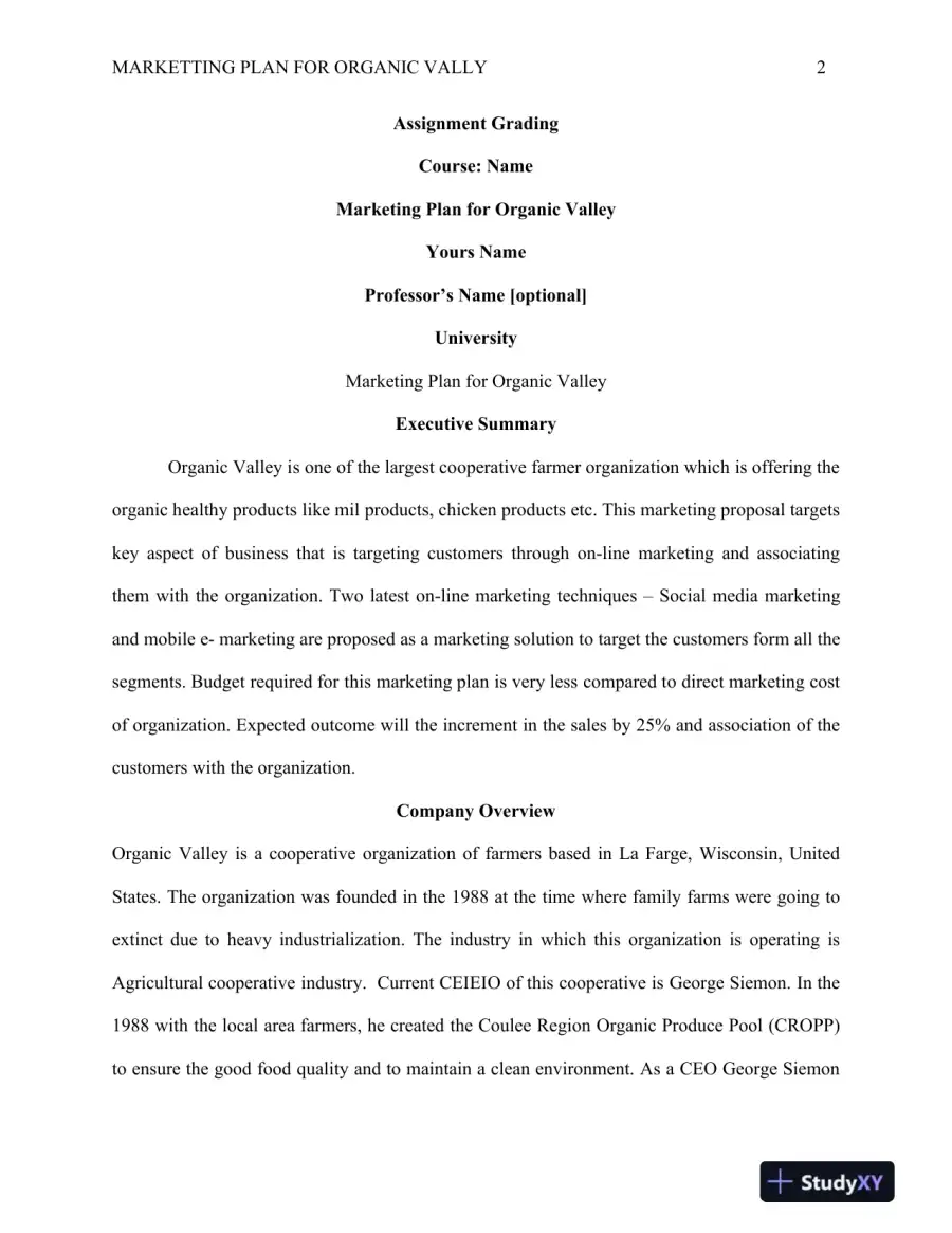 Marketting Plan For Organic Vally, page 3