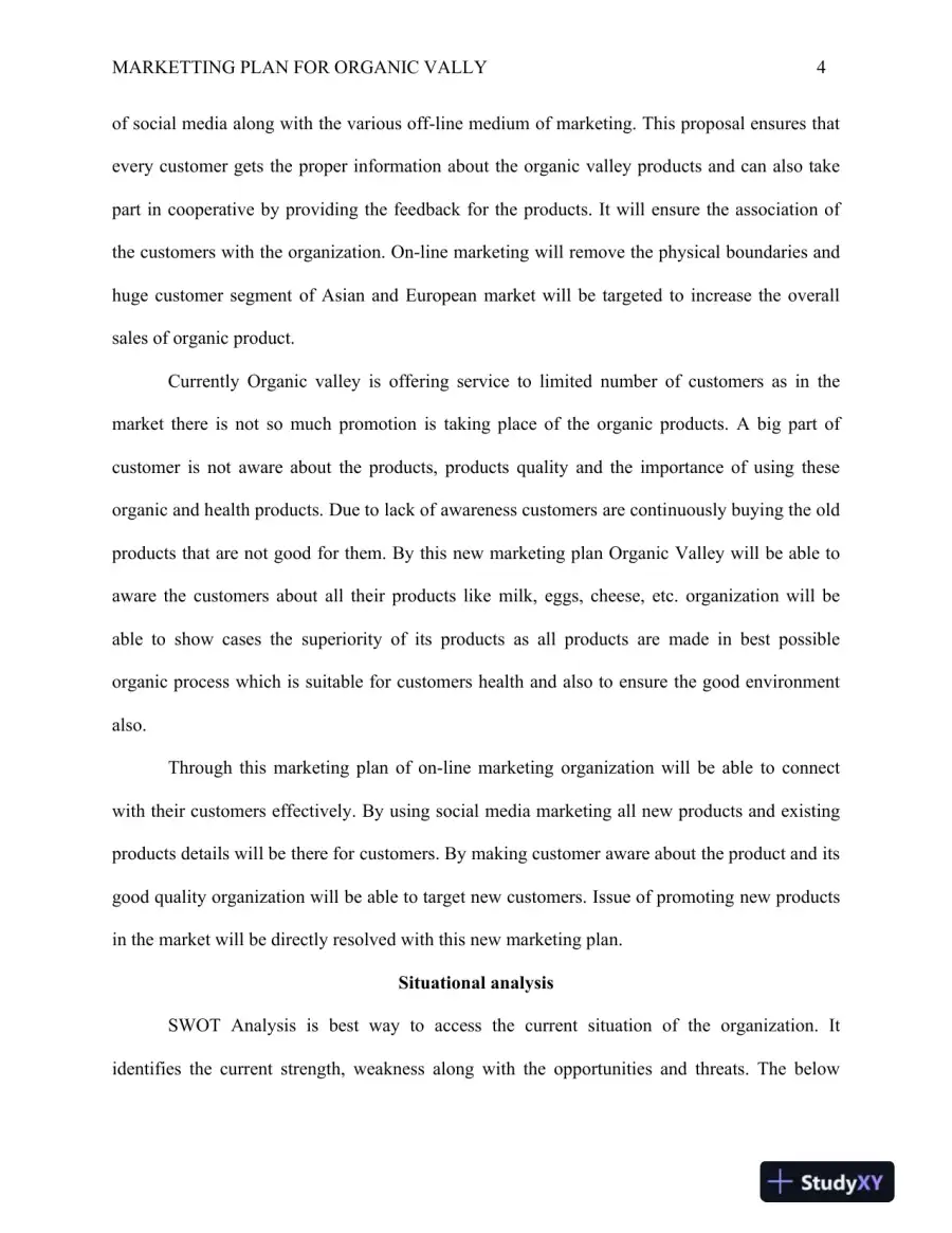 Marketting Plan For Organic Vally, page 5