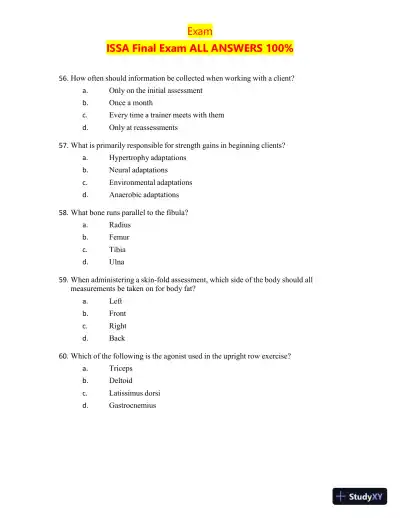 2023-2024 ISSA Certification Final Exam with Answers (200 Solved Questions) - Page 13 preview image