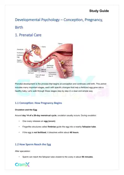 Developmental Psychology - Conception, Pregnancy, Birth - Page 1 preview image