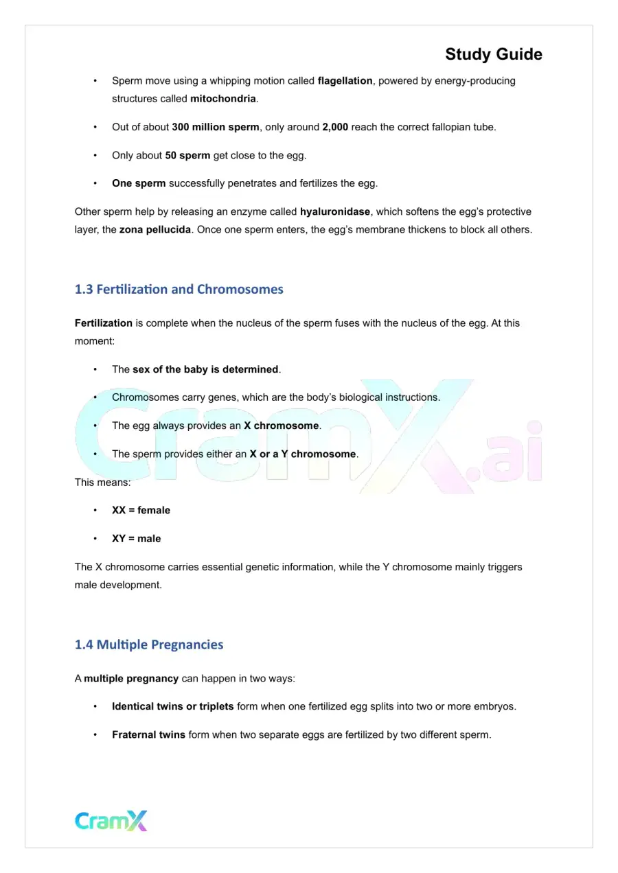 Developmental Psychology - Conception, Pregnancy, Birth, page 2