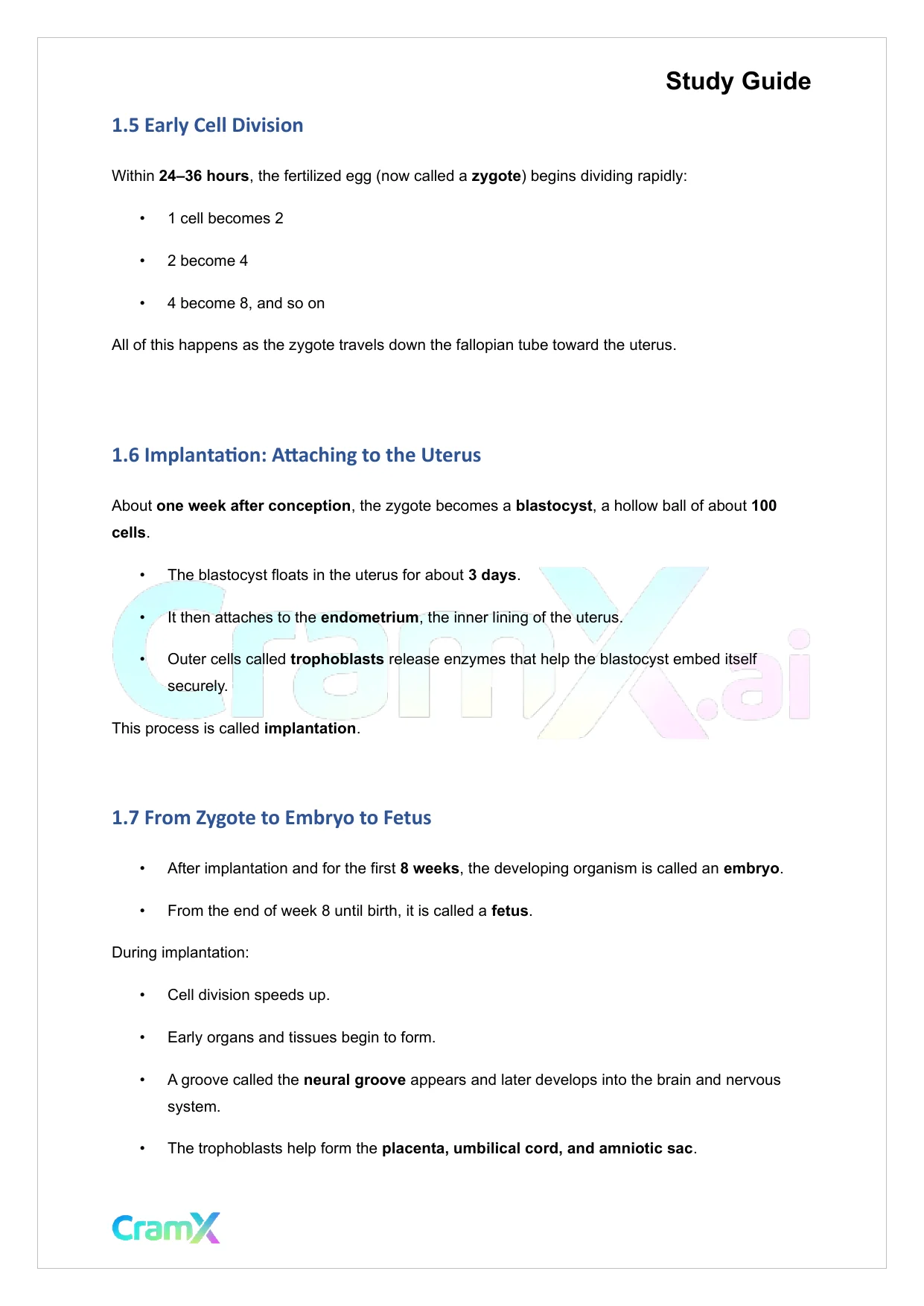 Developmental Psychology - Conception, Pregnancy, Birth - Page 3 preview image