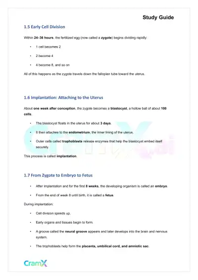 Developmental Psychology - Conception, Pregnancy, Birth - Page 3 preview image