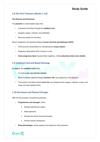 Developmental Psychology - Conception, Pregnancy, Birth - Page 4 preview image