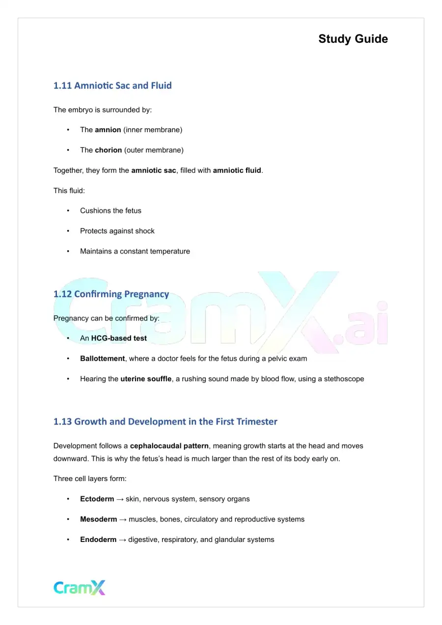 Developmental Psychology - Conception, Pregnancy, Birth, page 5