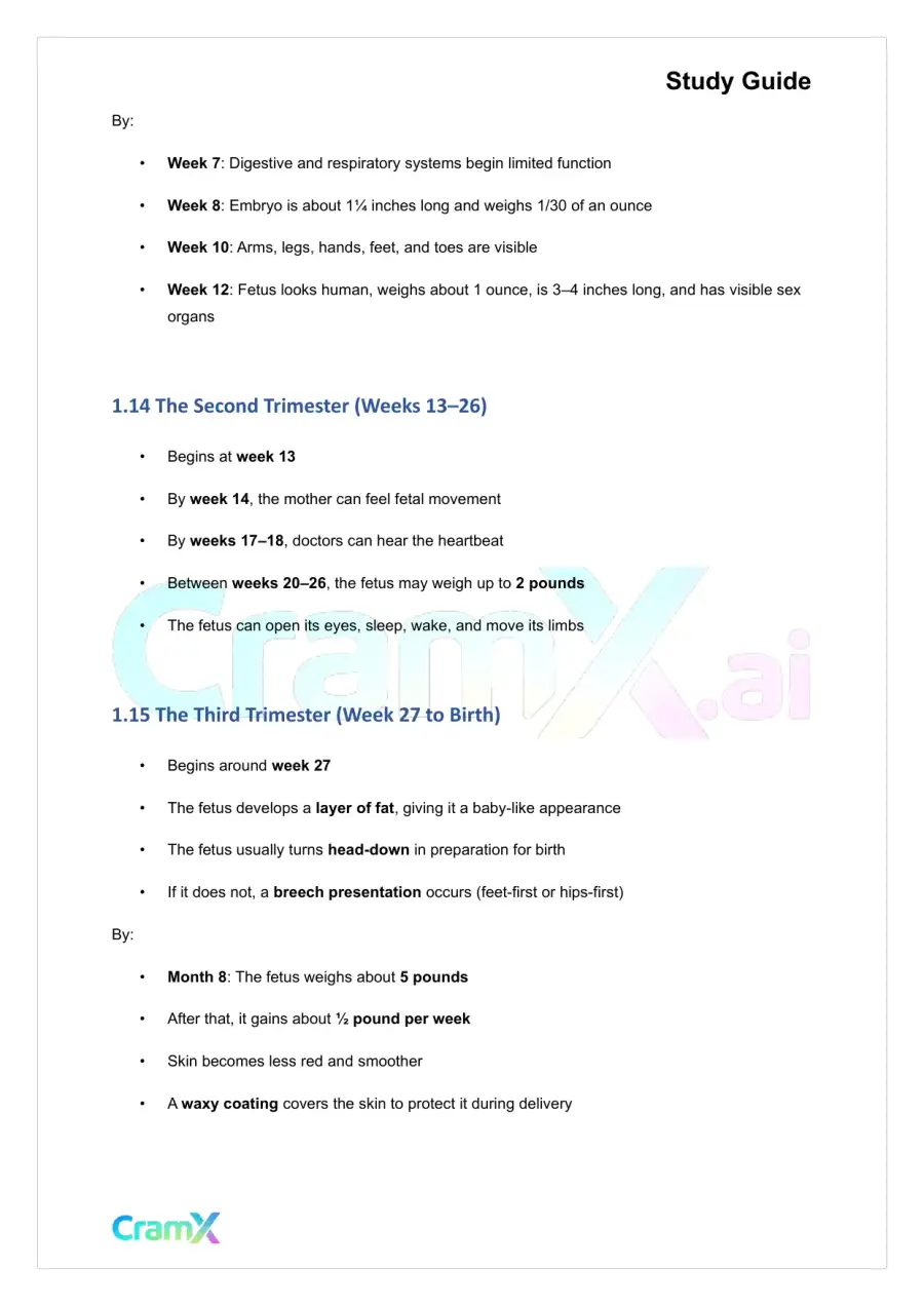 Developmental Psychology - Conception, Pregnancy, Birth, page 6
