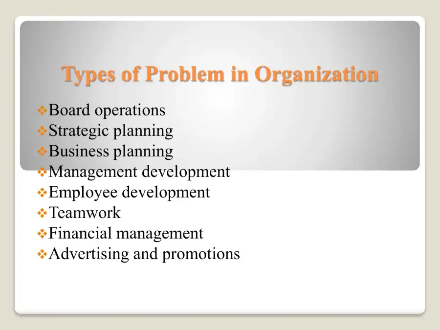 Organizational Issue, page 2