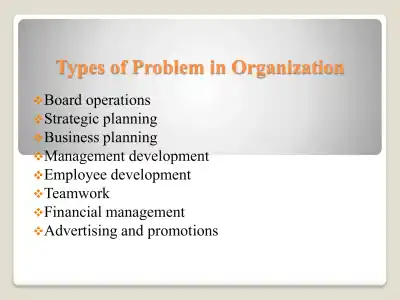 Organizational Issue - Page 2 preview image