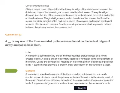 Test Bank For Wheeler's Dental Anatomy, Physiology and Occlusion: Expert Consult, 10th Edition - Page 10 preview image