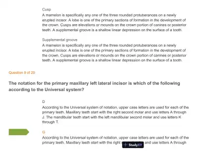Test Bank For Wheeler's Dental Anatomy, Physiology and Occlusion: Expert Consult, 10th Edition - Page 11 preview image