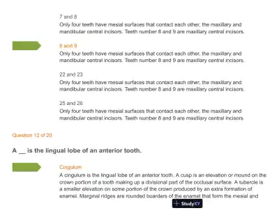Test Bank For Wheeler's Dental Anatomy, Physiology and Occlusion: Expert Consult, 10th Edition - Page 14 preview image