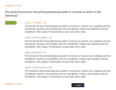 Test Bank For Wheeler's Dental Anatomy, Physiology and Occlusion: Expert Consult, 10th Edition - Page 16 preview image