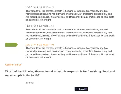 Test Bank For Wheeler's Dental Anatomy, Physiology and Occlusion: Expert Consult, 10th Edition - Page 5 preview image