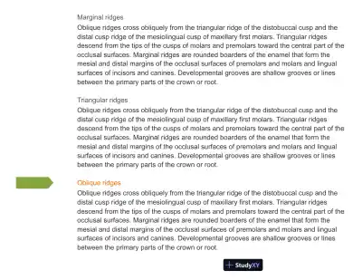 Test Bank For Wheeler's Dental Anatomy, Physiology and Occlusion: Expert Consult, 10th Edition - Page 9 preview image