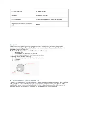 Assessment Task 1 - Page 5 preview image
