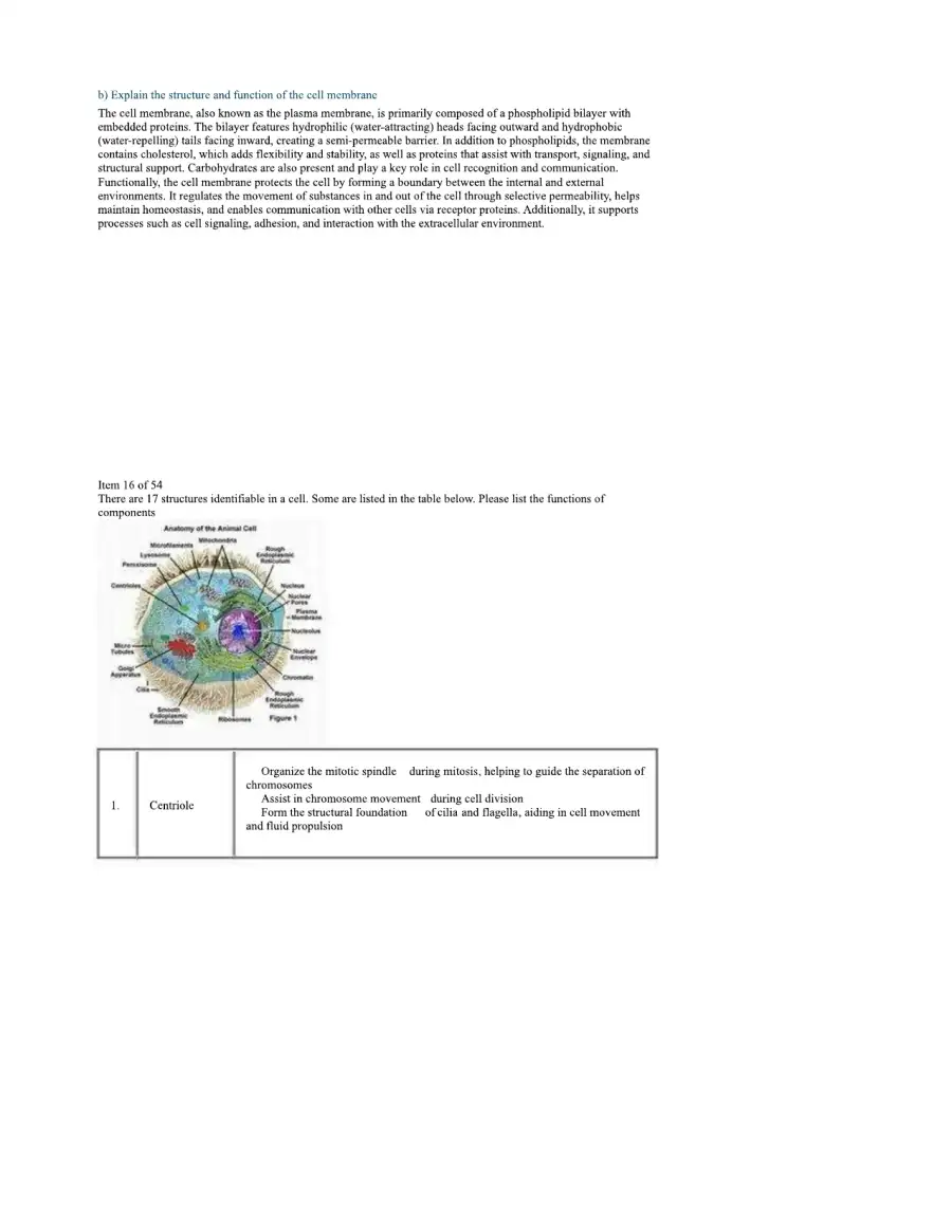 Assessment Task 1, page 6