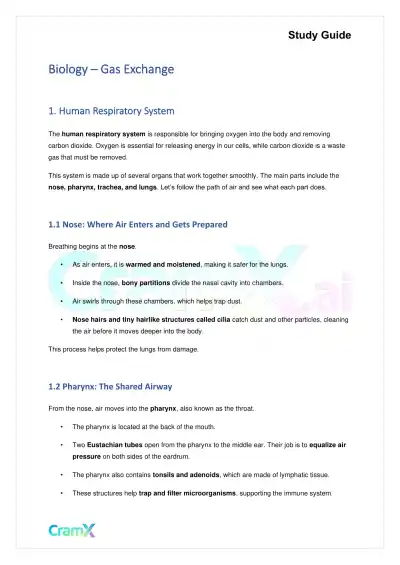 Biology - Gas Exchange - Page 1 preview image