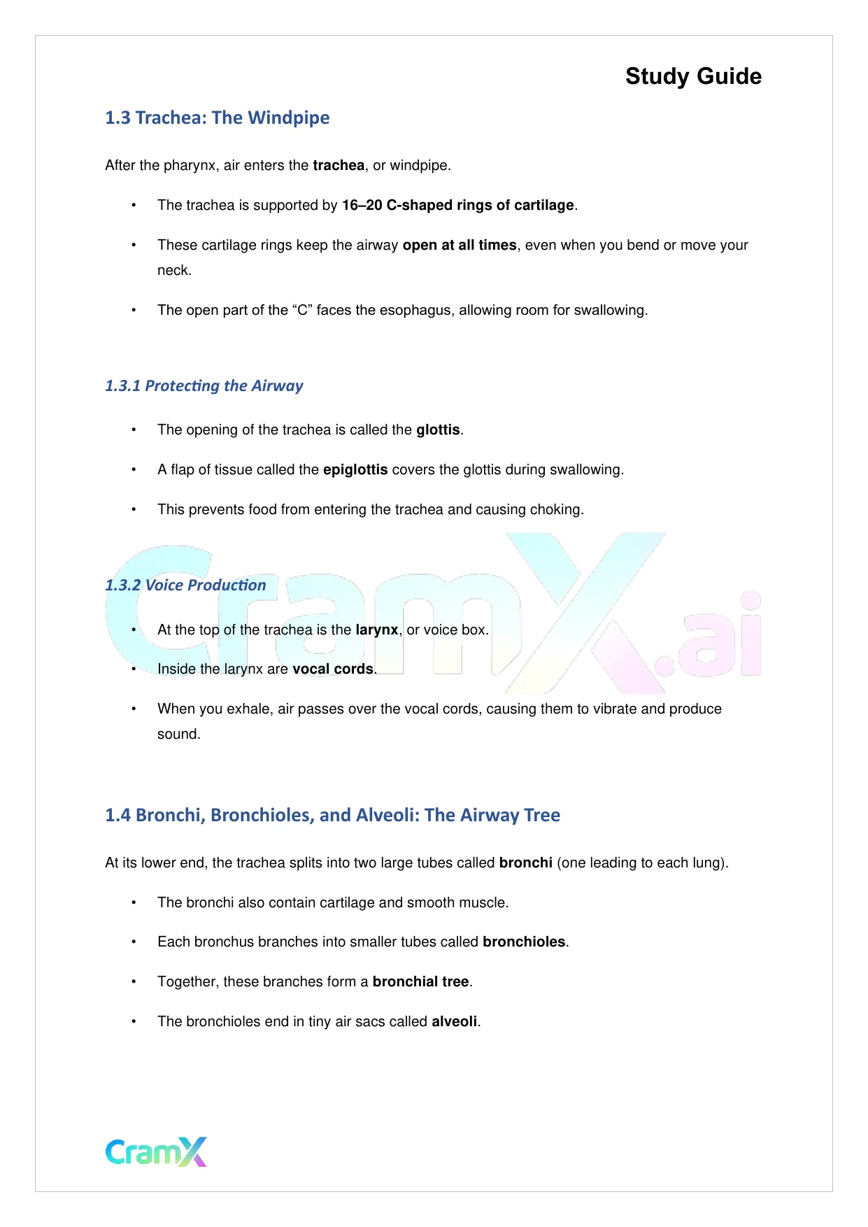 Biology - Gas Exchange - Page 2 preview image
