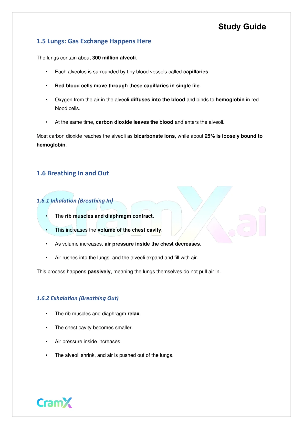 Biology - Gas Exchange - Page 3 preview image