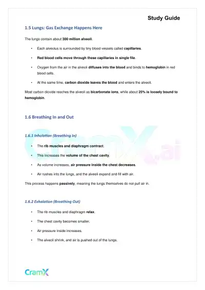 Biology - Gas Exchange - Page 3 preview image