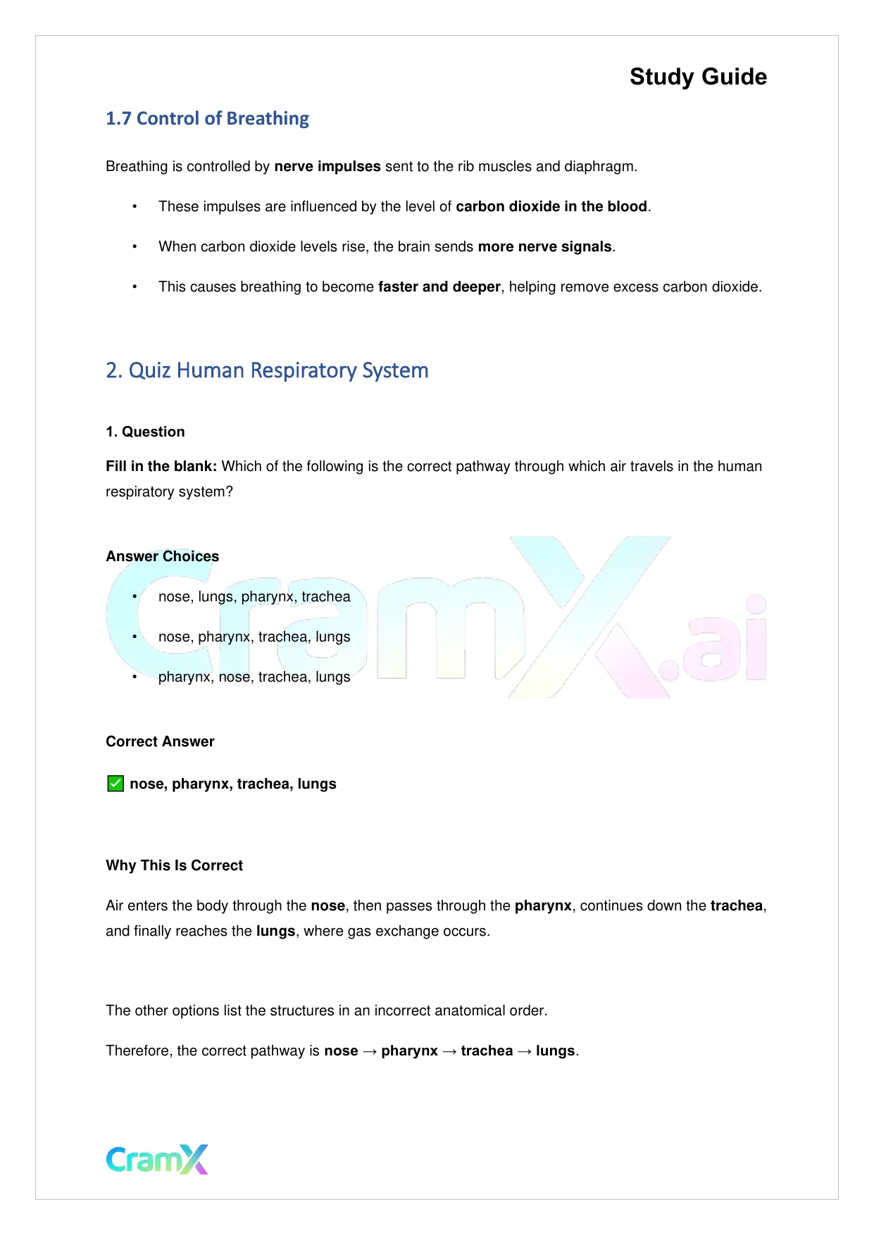 Biology - Gas Exchange - Page 4 preview image