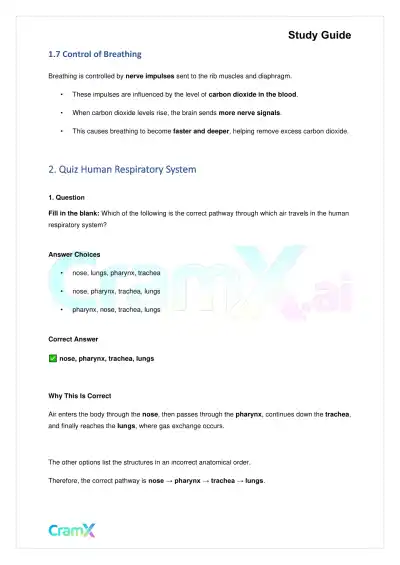 Biology - Gas Exchange - Page 4 preview image