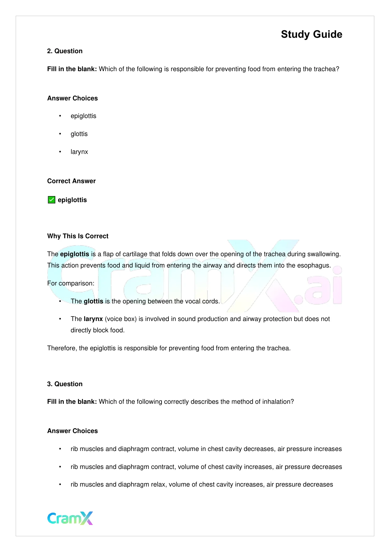 Biology - Gas Exchange - Page 5 preview image
