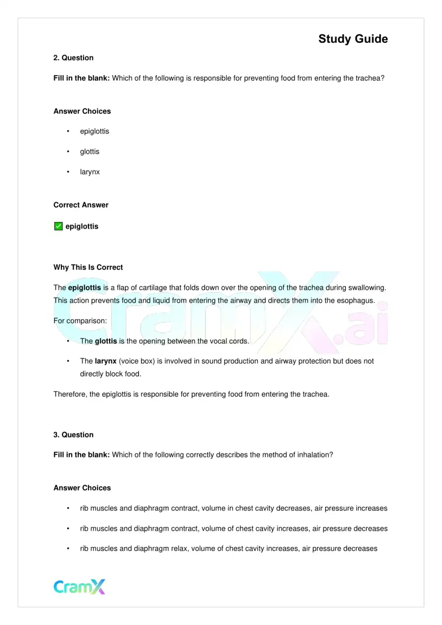 Biology - Gas Exchange, page 5