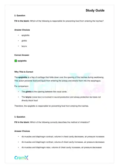 Biology - Gas Exchange - Page 5 preview image