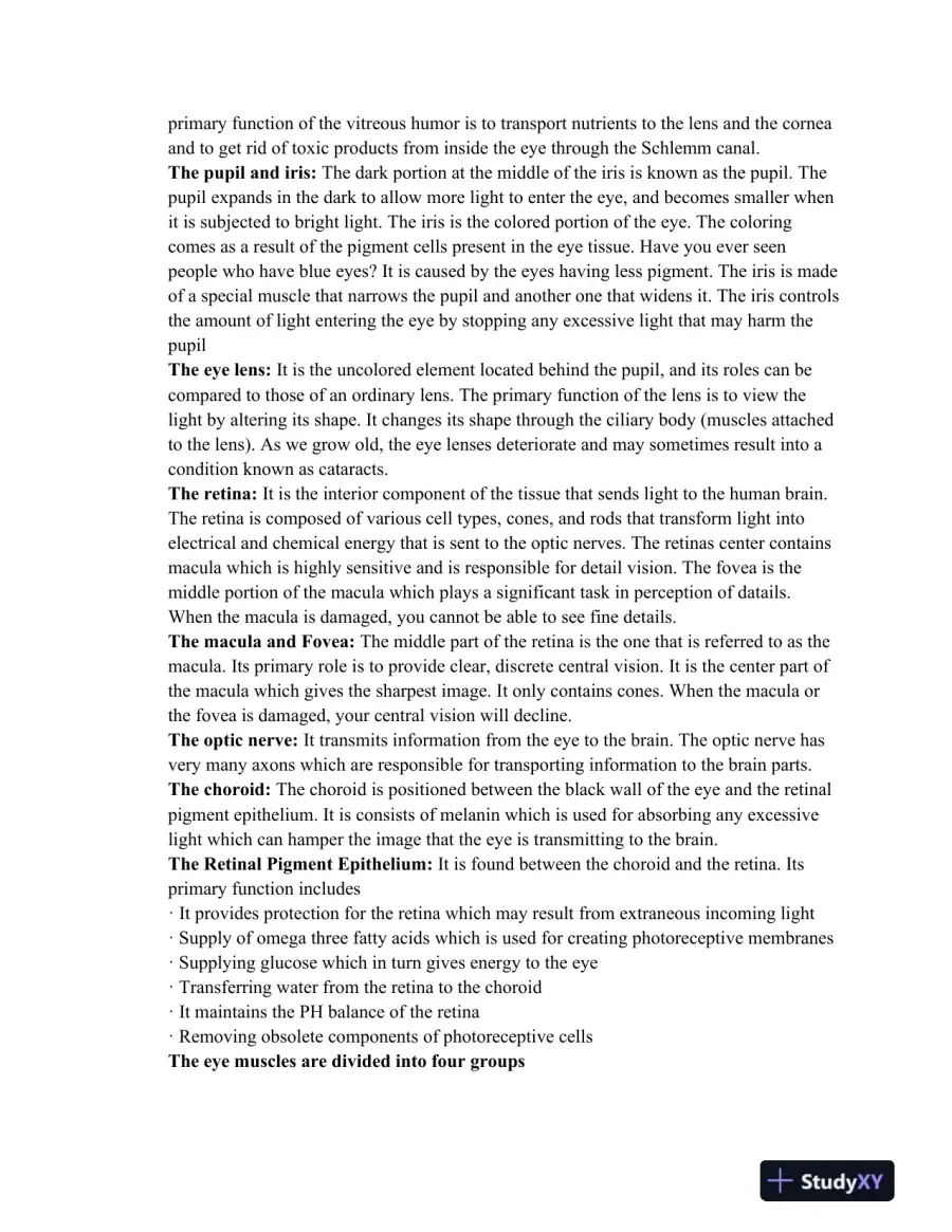 An In-Depth Understanding of Eye Anatomy, Function, and Exercises for Vision Improvement, page 5