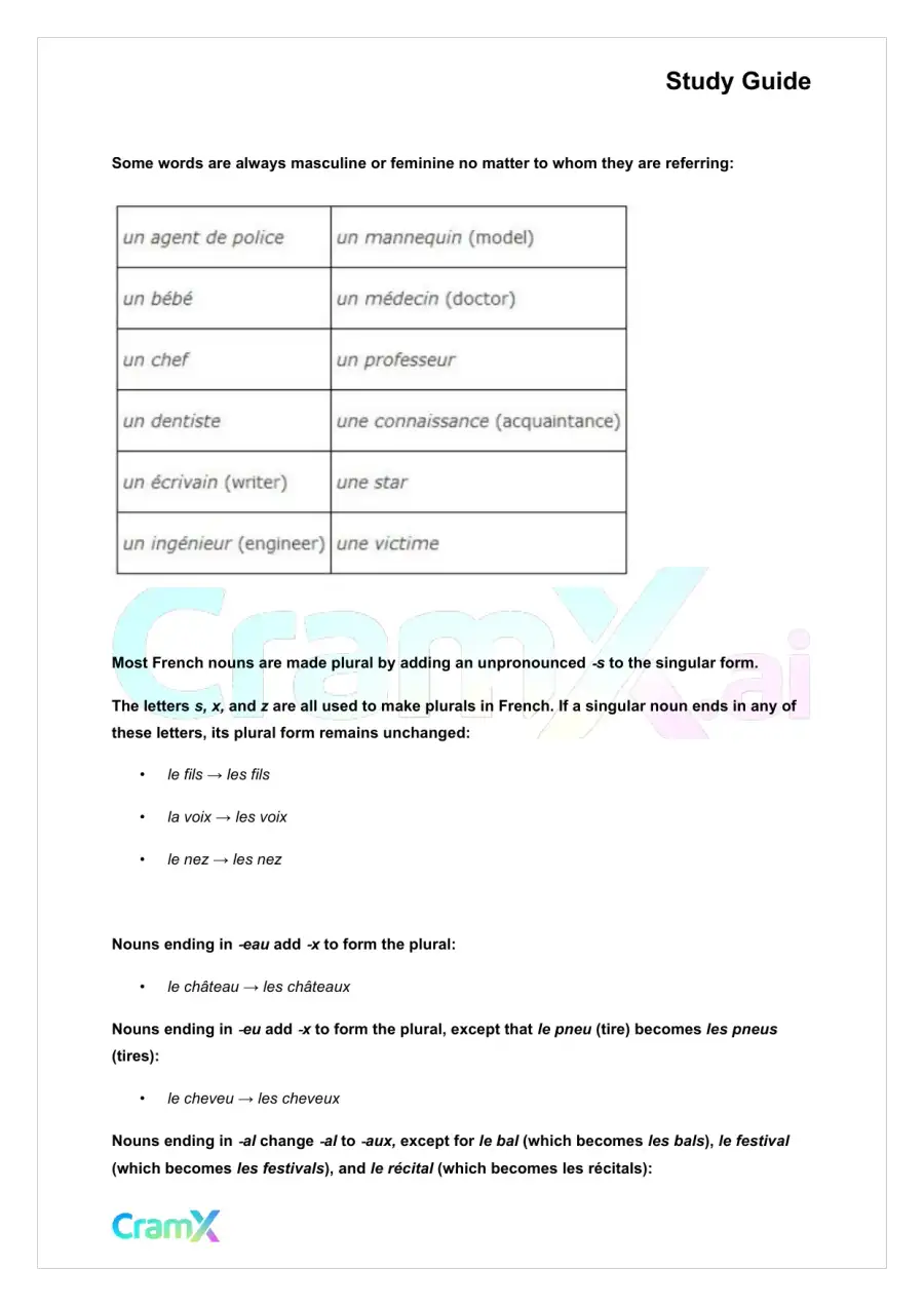 French II – Articles Nouns Pronouns, page 5