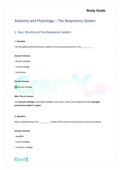 Anatomy and Physiology - The Respiratory System - Page 1 preview image