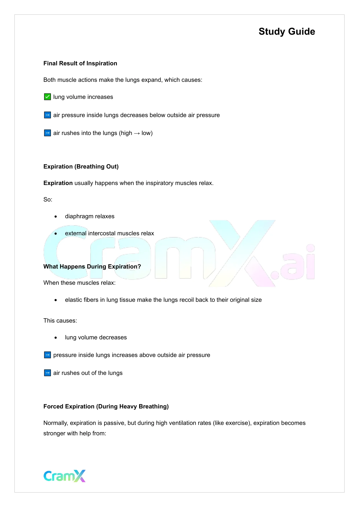 Anatomy and Physiology - The Respiratory System - Page 10 preview image