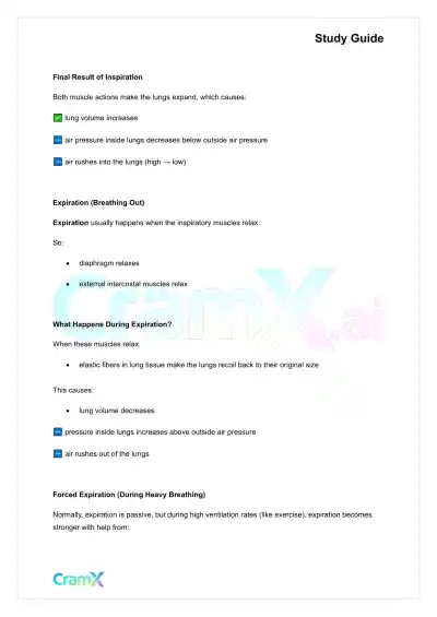 Anatomy and Physiology - The Respiratory System - Page 10 preview image