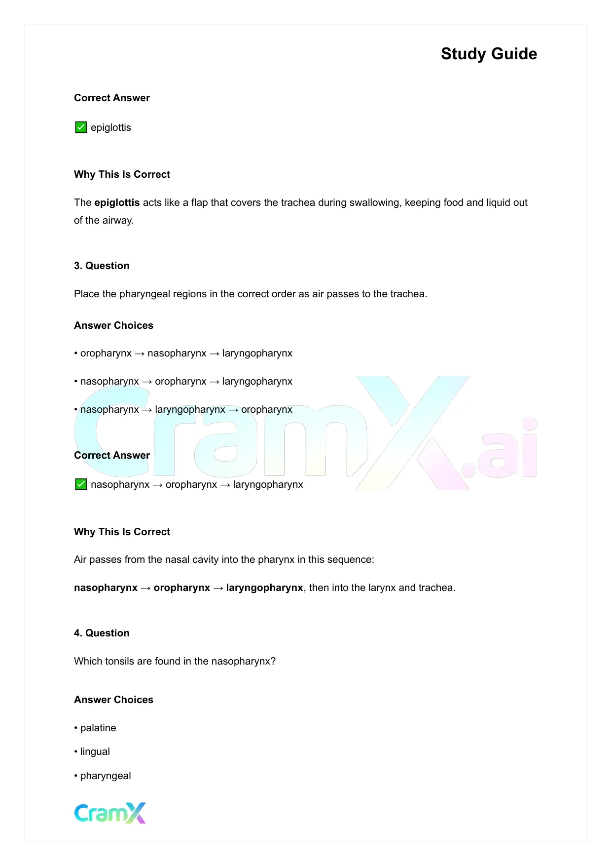 Anatomy and Physiology - The Respiratory System - Page 2 preview image